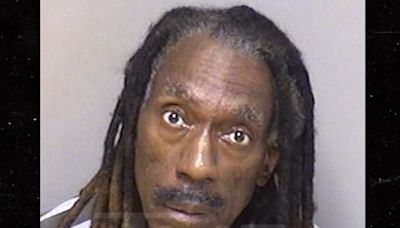 Dave Matthews Band Alum Boyd Tinsley Arrested for DUI, Cop Interaction on Video