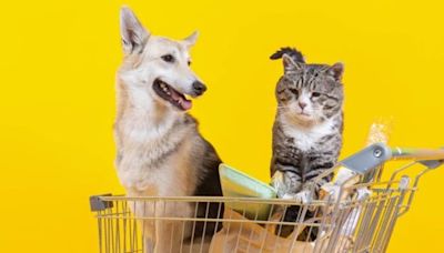 Seeing Silicon | The ultimate battle between dogs and cats for VC money