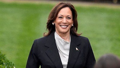 Harris has support of enough Democratic delegates to become party’s presidential nominee: AP survey - News