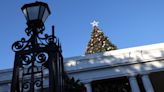 Árbol de Navidad Nacional frente a la Casa Blanca es derribado por los fuertes vientos - El Diario NY