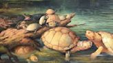 Encuentran fósiles de tortuga gigante de 57 millones de años en Colombia