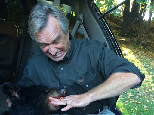 Un oso muerto en Central Park: un nuevo escándalo salpica la campaña de Robert F. Kennedy