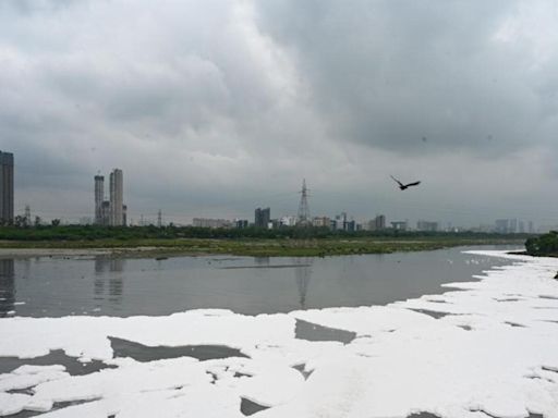 Yamuna ammonia level spikes as water flows in from upstream states, Delhi blames Haryana