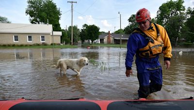 As extreme weather ramps up, animal rescuers are struggling to save our pets
