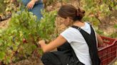 Amid Global Challenges, Lebanon’s Women Winemakers Continue to Persevere