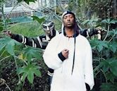 Madvillain