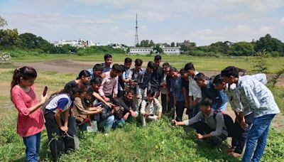 Butterfly Survey: Indore's Holkar College Students Identify 40 Species In 3 Hrs