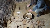 A vintage find: Man discovers mammoth bones in wine cellar