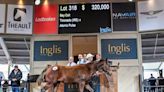 Inglis Australian Weanling Sale Produces Record Sales