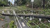 Fuertes tormentas azotan el sur de EU