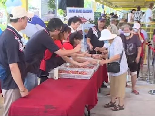 黑鮪魚、鬼頭刀盛產！ 新鮮漁獲現切 吸民眾搶吃