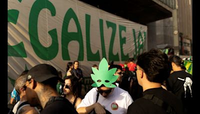 Possession Of Marijuana Not A Crime, Says Top Brazil Court