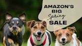 It's National Puppy Day: Celebrate Your Fur Baby With Amazon's Big Spring Sale Pet Deals - E! Online