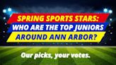 Spring sports stars: Who are the top juniors around Ann Arbor? Our picks, your votes
