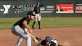 Licking County products help keep Ohio Bison atop summer wood bat league