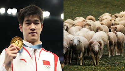 Tending sheep awaits double Olympic champ in rural China