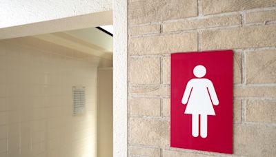 Don’t trans activists get it? Single-sex loos are about privacy not gender