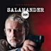 Salamander (TV series)