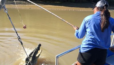 Cull or caution: Australia weighs tactics to thin crocodile numbers