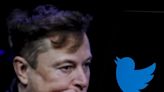 Twitter users just voted for Elon Musk to step down as head of the company. Before votes were cast, Musk said he'd abide by the result.