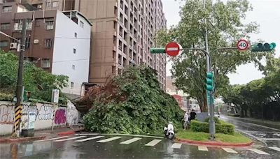 凱米風強雨驟！8年首登陸颱風 北市災情「這項」最多
