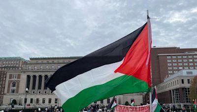 Estudiantes de la Universidad de Carolina del Norte reemplazaron bandera de EE.UU. por una de Palestina durante manifestación - El Diario NY