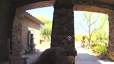 Video shows UPS driver collapsing at a customer's front door in Arizona heat wave