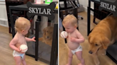 Mischievous toddler helping to "jailbreak" dog from crate delights internet