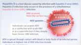 Patient Information: Hepatitis D Infection