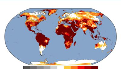 Nearly 5 billion people lived under extreme temperatures in June, study finds