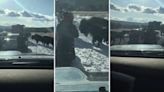 Video of tourists tempting fate for an up-close photo of bison sparks fury online: ‘Imagine not realizing the danger’
