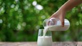 The health benefits of drinking horse milk