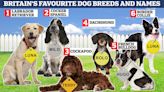 Is your dog Luna, Bella or Milo? The most popular names, revealed