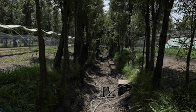 ¿Xochimilco se está evaporando? Así están quedando sus canales con la crisis de agua y el calor