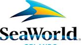 SeaWorld gives guests an exclusive behind-the-scenes experience, find out how