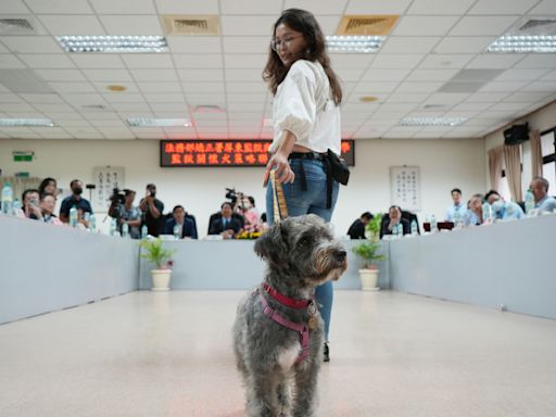 屏東監獄推關懷犬計畫 導聾犬胖比進場示範 (圖)