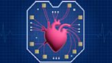 Scientists unveil new 'heart-on-a-chip'