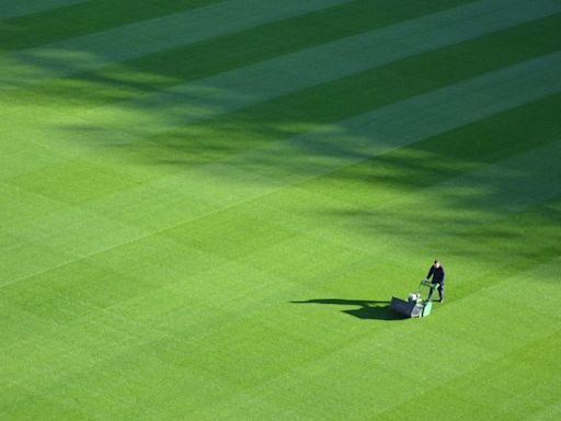 Premier League groundsman on how to get the perfect striped lawn at home