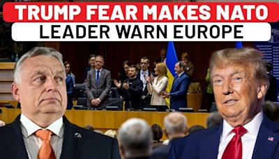 NATO Leader's Scared Warning To Europe: Wants Zelensky Dumped Over Trump Win Impact On Russia War