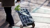 Struggling home uphill, I’ve been left with one humiliating option – the shopping trolley