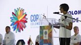 Esta será la agenda de la COP16 en Cali: la ministra de Medio Ambiente confirmó la programación