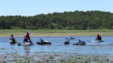 Most of 125 dolphins stranded in Wellfleet waters have moved on, just a few remain in area