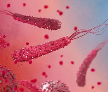 幽門螺桿菌是個「致癌高手」！胃腸癌、喉癌都和它有關