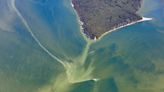 Below-average harmful algal bloom predicted for western Lake Erie