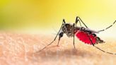 Campaña ‘Liga contra el Dengue’ educa para eliminar criaderos de zancudos en Barrancabermeja
