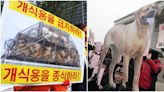 南韓立法通過「禁吃狗肉」2027年生效 千家餐廳和養殖場哭了