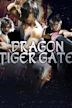 Dragon Tiger Gate