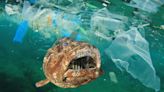 With 363.8 Billion Pounds Of Plastic In The Ocean, Plastic Pollution Will Soon Outweigh Fish