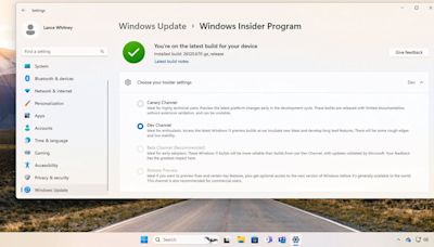 How to join Microsoft's Windows Insider Program (and why you should)