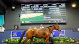 Three Lots Hit Seven Figures Day 2 at Magic Millions